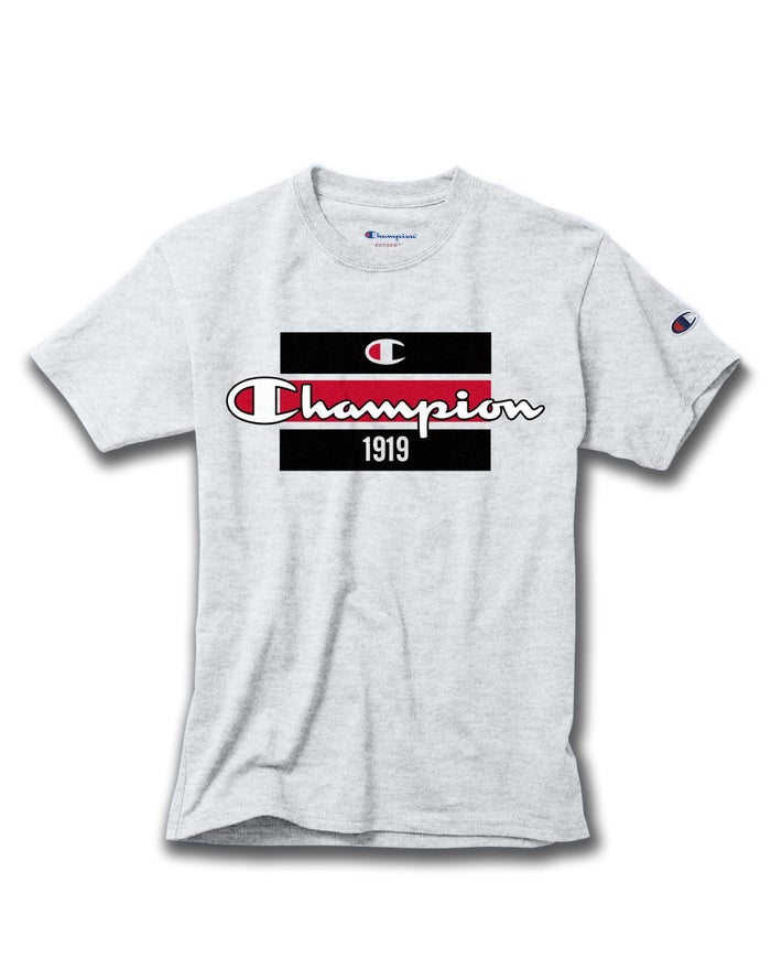 Champion Boys T-Shirt NZ - Cotton Raising The Bar Grey ( 3406-TKMWD )